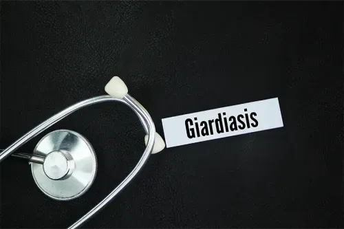 Causes of Giardiasis Disease, Diagnosis and Treatment of Giardiasis